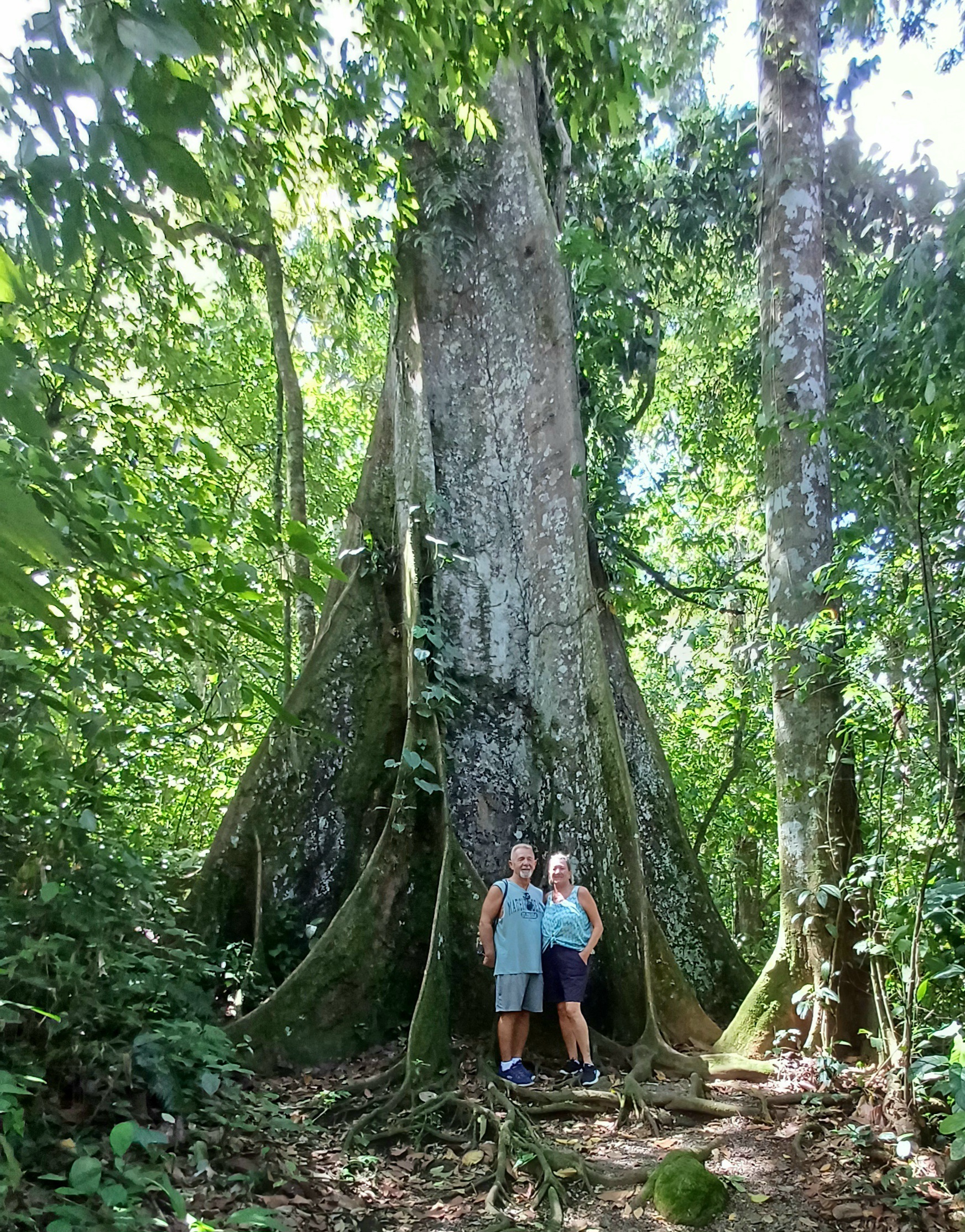 Family picture in rainforest 