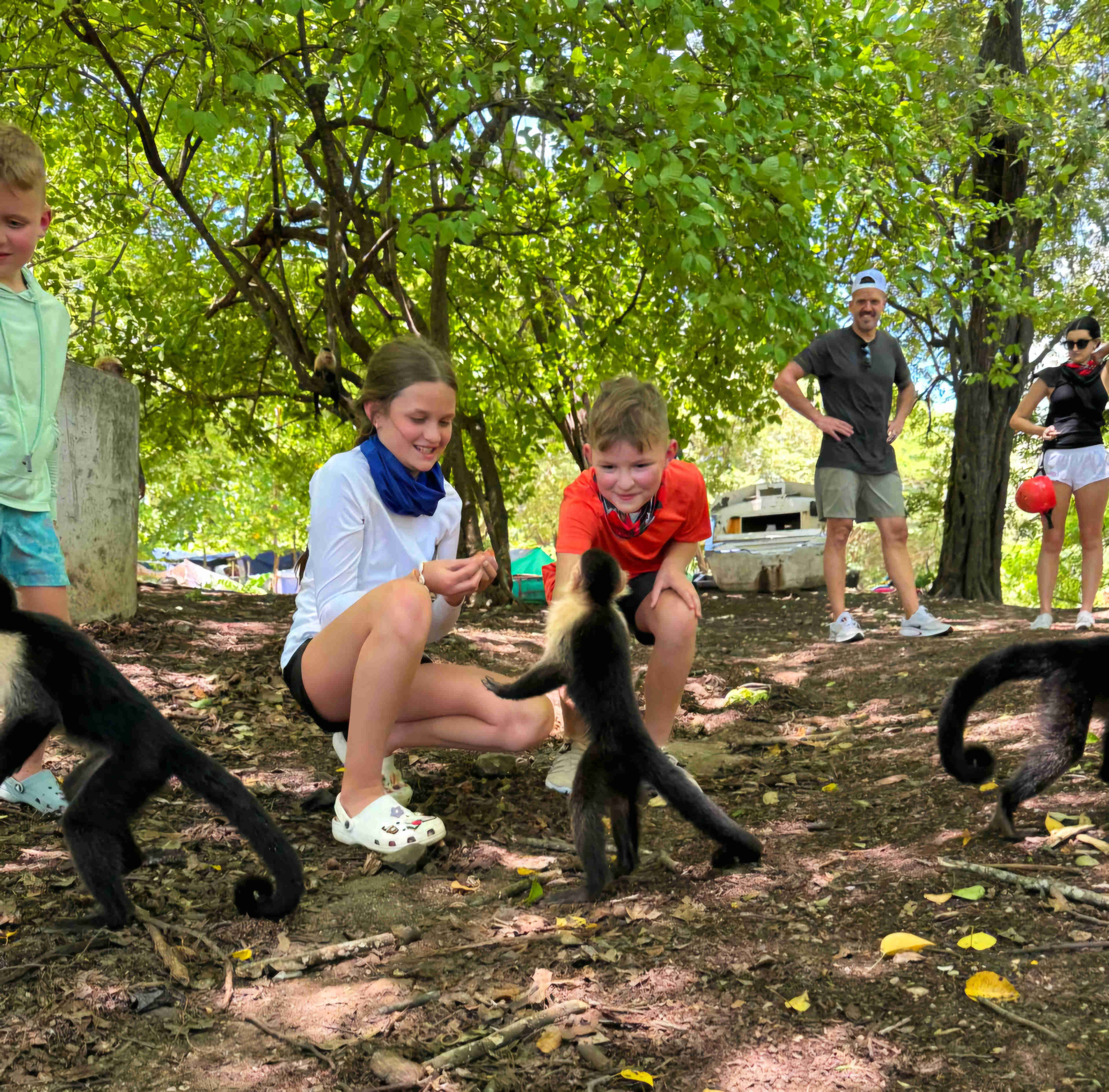 Children playing with white faced monkeys on a tour in costa rica at the congo trail animal sanctuary