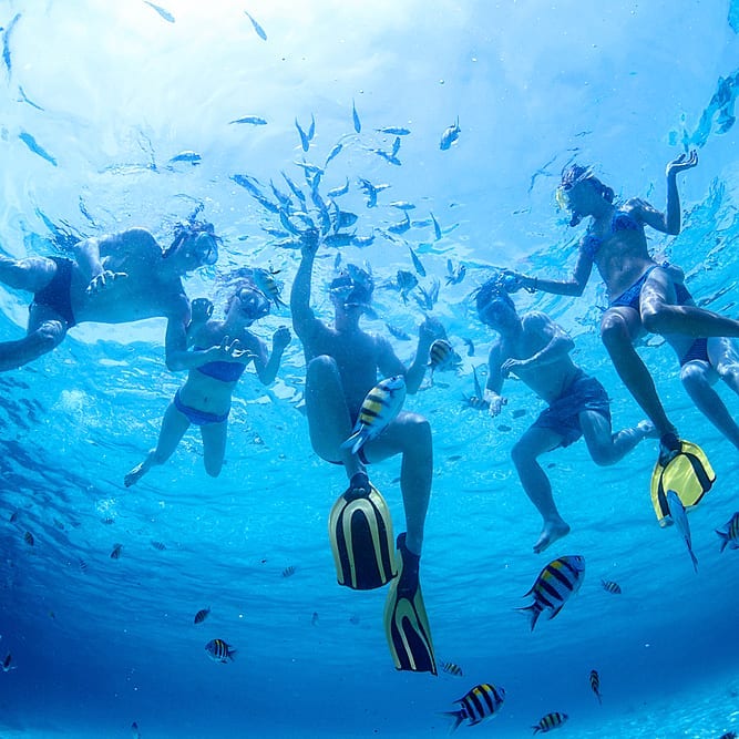 snorkeling costa rica catalina islands